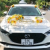 BÁN HOA TRANG TRÍ XE HOA CƯỚI GIÁ RẺ TẠI TPHCM - HX27