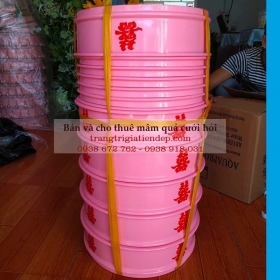 BÁN MÂM QUẢ CƯỚI MÀU HỒNG SEN