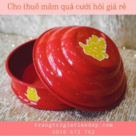 BÁN MÂM QUẢ SƠN TĨNH ĐIỆN MÀU ĐỎ