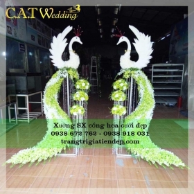ĐIỂM BÁN CỔNG CƯỚI CHIM CÔNG GIÁ SỈ