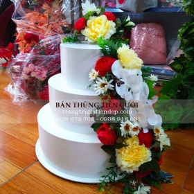 BÁN THÙNG TIỀN ĐÁM CƯỚI GIÁ RẺ TẠI TPHCM